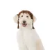 Thrills & Chills® Brown Braids Dog & Cat Wig Headpiece image thumbnail 2
