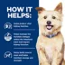 Hill's Prescription Diet K/D + Mobility Adult Wet Dog Food image thumbnail 3