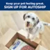 Hill's Prescription Diet K/D + Mobility Adult Wet Dog Food image thumbnail 9