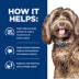 Hill's Prescription Diet Brain Care + J/D Adult Dry Dog Food image thumbnail 4