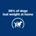 Hill's Prescription Diet Metabolic Weight Management Adult Wet Dog Food image thumbnail 2