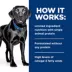 Hill's Prescription Diet D/D Food Sensitivities Adult Wet Dog Food image thumbnail 4