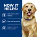 Hills Prescription Diet J/D Joint Care Adult Wet Dog Food image thumbnail 3