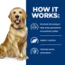Hills Prescription Diet J/D Joint Care Adult Wet Dog Food image thumbnail 4