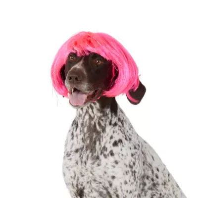 Thrills & Chills® Popstar Dog & Cat Wig Headpiece - Image 2