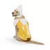 Thrills & Chills® Banana Dog Costume image thumbnail 2