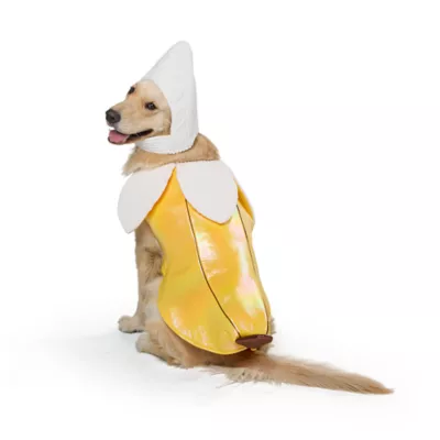 Thrills & Chills® Banana Dog Costume - Image 2