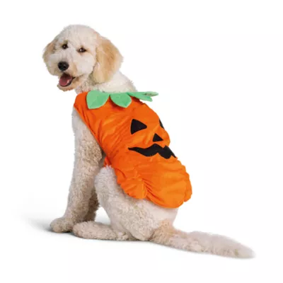 Thrills & Chills® Pumpkin Dog & Cat Costume - Image 2