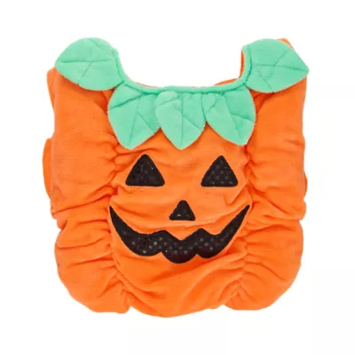 Thrills & Chills® Pumpkin Dog & Cat Costume - Image 4