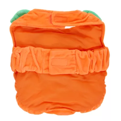 Thrills & Chills® Pumpkin Dog & Cat Costume - Image 5