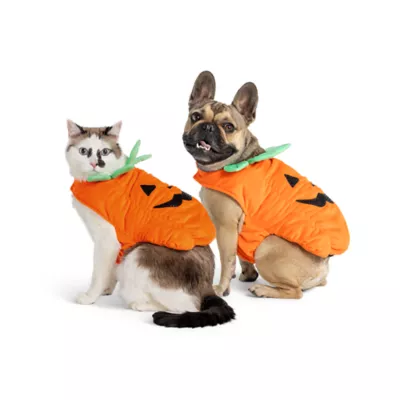 Thrills & Chills® Pumpkin Dog & Cat Costume - Image 1