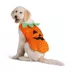 Thrills & Chills® Pumpkin Dog & Cat Costume image thumbnail 2