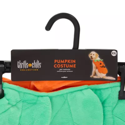 Thrills & Chills® Pumpkin Dog & Cat Costume - Image 6