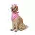 Thrills & Chills® Pink Cowboy Hat & Bandana Dog & Cat Set image thumbnail 2