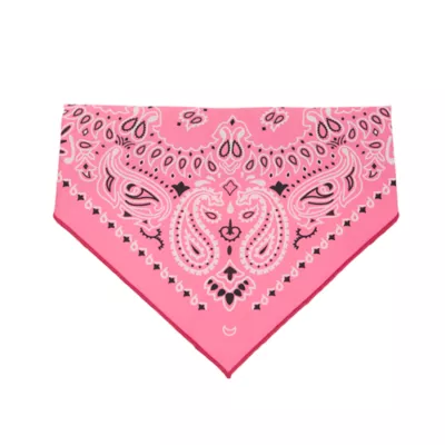 Thrills & Chills® Pink Cowboy Hat & Bandana Dog & Cat Set - Image 5