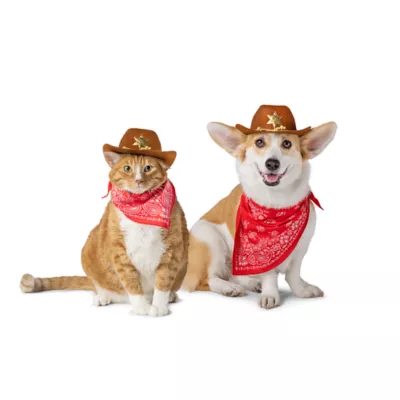 Thrills & Chills® Cowboy Hat & Bandana Dog & Cat Set - Image 1