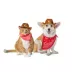Thrills & Chills® Cowboy Hat & Bandana Dog & Cat Set image thumbnail 1