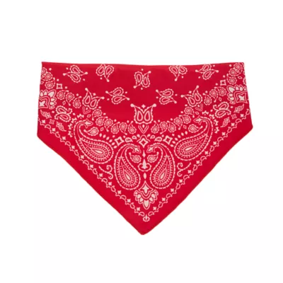 Thrills & Chills® Cowboy Hat & Bandana Dog & Cat Set - Image 5