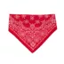 Thrills & Chills® Cowboy Hat & Bandana Dog & Cat Set image thumbnail 5