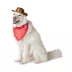 Thrills & Chills® Cowboy Hat & Bandana Dog & Cat Set image thumbnail 2
