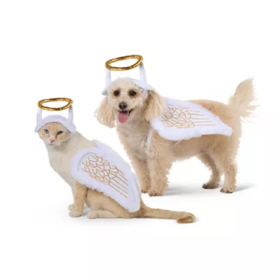 Thrills & Chills® Angel Halo Wings Dog & Cat Costume Set - Image 1