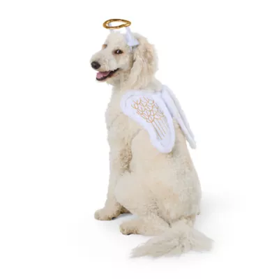 Thrills & Chills® Angel Halo Wings Dog & Cat Costume Set - Image 2