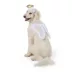 Thrills & Chills® Angel Halo Wings Dog & Cat Costume Set image thumbnail 2