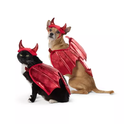 Thrills & Chills® Devil Dog & Cat Costume Set - Image 1