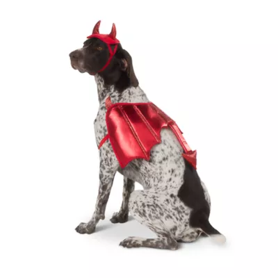 Thrills & Chills® Devil Dog & Cat Costume Set - Image 2