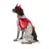 Thrills & Chills® Devil Dog & Cat Costume Set image thumbnail 2