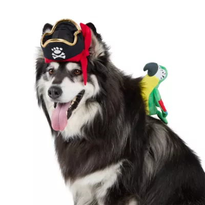 Thrills & Chills® Pirate Dog & Cat Costume Set - Image 2