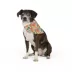 Top Paw® Cuties Dog Bandana image thumbnail 2