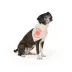 Top Paw® Cuties Dog Bandana image thumbnail 1