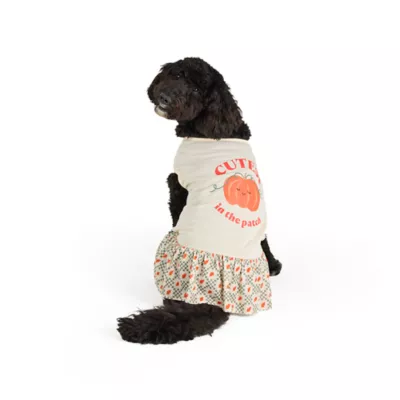 Top Paw® Bow Dog Dress - Image 1