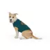 Top Paw® Paw Dog Sweater image thumbnail 1