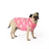 Top Paw® Hearts Dog Sweater image thumbnail 1