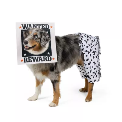 Thrills & Chills® Wanted Sign Dog & Cat Costume - Image 2