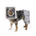 Thrills & Chills® Wanted Sign Dog & Cat Costume image thumbnail 2