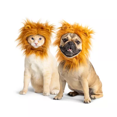 Thrills & Chills® Lion Dog & Cat Headpiece - Image 1