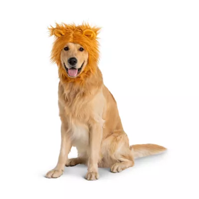 Thrills & Chills® Lion Dog & Cat Headpiece - Image 2