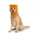 Thrills & Chills® Lion Dog & Cat Headpiece image thumbnail 2