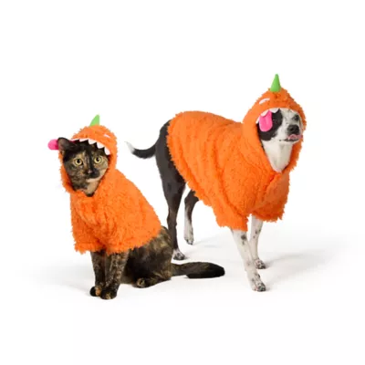 Thrills & Chills® Orange Monster Dog & Cat Hoodie - Image 1