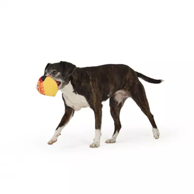 Thrills & Chills™ Halloween Plush Candy Corn Dog Toy - Image 2
