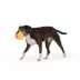 Thrills & Chills™ Halloween Plush Candy Corn Dog Toy image thumbnail 2