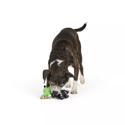 Thrills & Chills™ Halloween Plush Dinosaur Dog Toy - Image 2