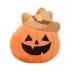 Thrills & Chills™ Halloween Plush Pumpkin Dog Toy image thumbnail 1