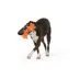 Thrills & Chills™ Halloween Plush Pumpkin Candy Dog Toy image thumbnail 2