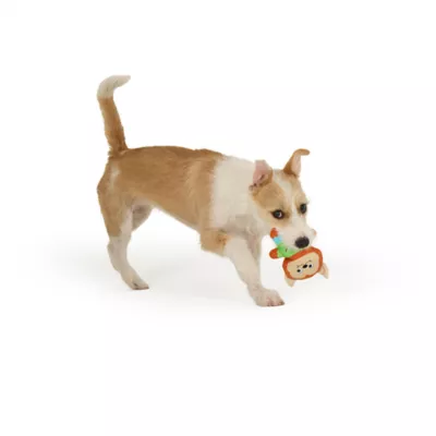 Thrills & Chills™ Halloween Plush Werewolf Dog Toy - Image 2