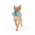 Thrills & Chills™ Halloween Vinyl Bone Dog Toy image thumbnail 2