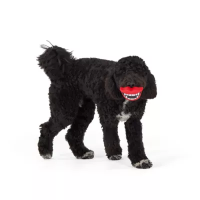 Thrills & Chills™ Halloween Vinyl Lips Dog Toy - Image 2